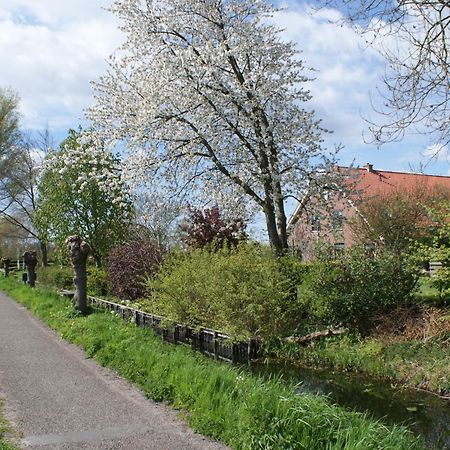 Gastenverblijf De Natureluur Noorden Bagian luar foto