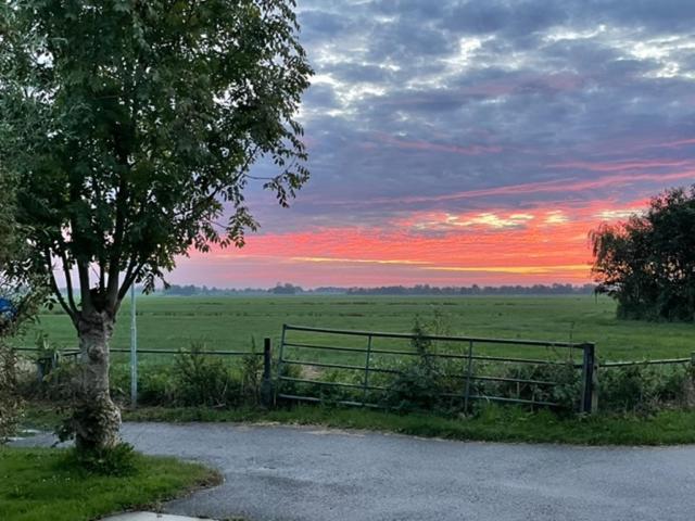 Gastenverblijf De Natureluur Noorden Bagian luar foto