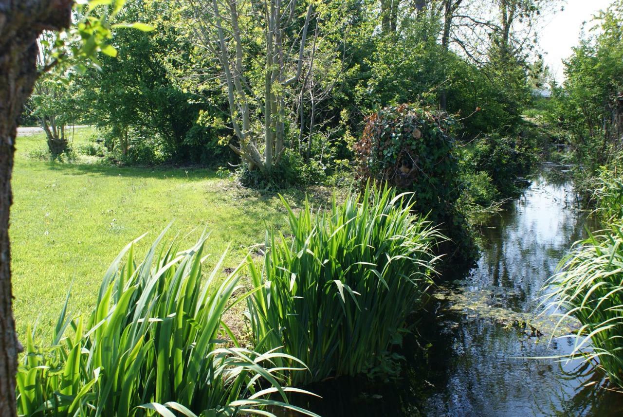 Gastenverblijf De Natureluur Noorden Bagian luar foto